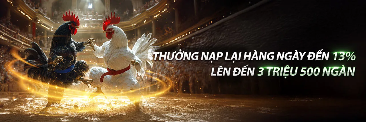 Sân đấu gà trực tuyến sôi động tại KU77 Nhà Cái
